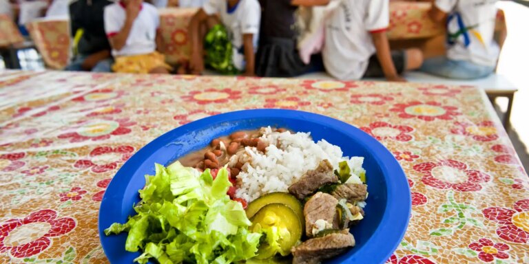 Câmara aprova projeto de compra de alimentos para merenda escolar