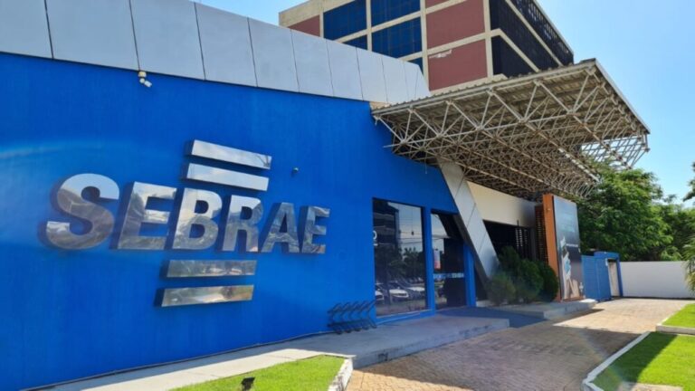 Sebrae capacita agentes de desenvolvimento para atuarem como facilitadores de crédito em municípios do Tocantins | ASN Tocantins