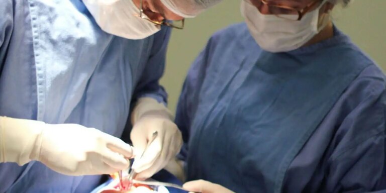Fissura labiopalatina demanda tratamento precoce e multidisciplinar