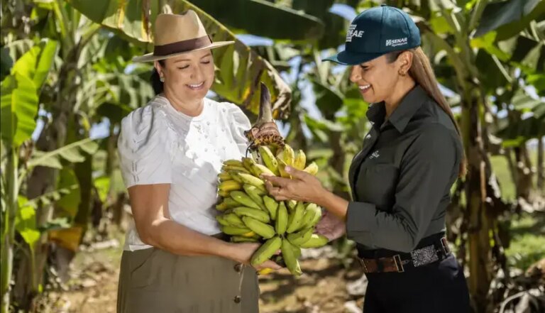 Com safras que chegam a quase 10 mi de toneladas, empreendedor rural impulsiona crescimento do agronegócio | ASN Tocantins