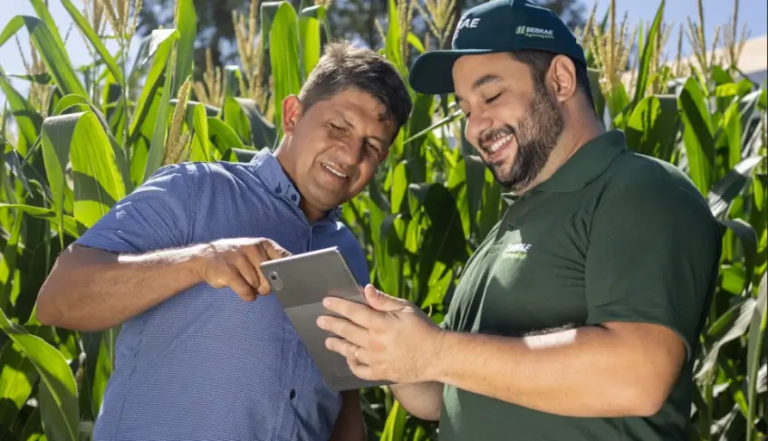 Empretec Rural prepara produtores, empresas e profissionais do agro para transformar propriedades com estratégia | ASN Tocantins
