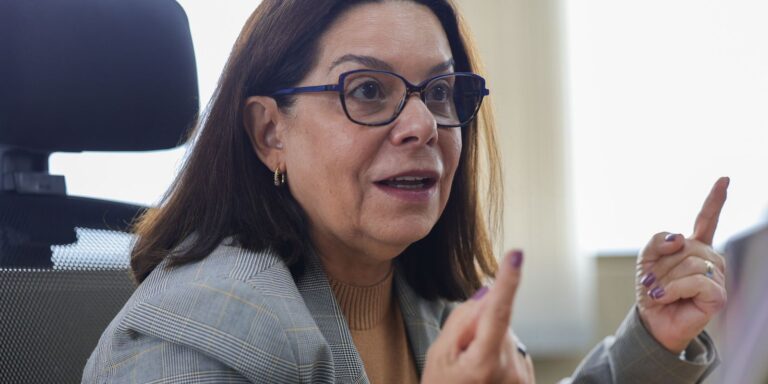 Denise Pires de Carvalho será vice-presidente de ciências da Unesco