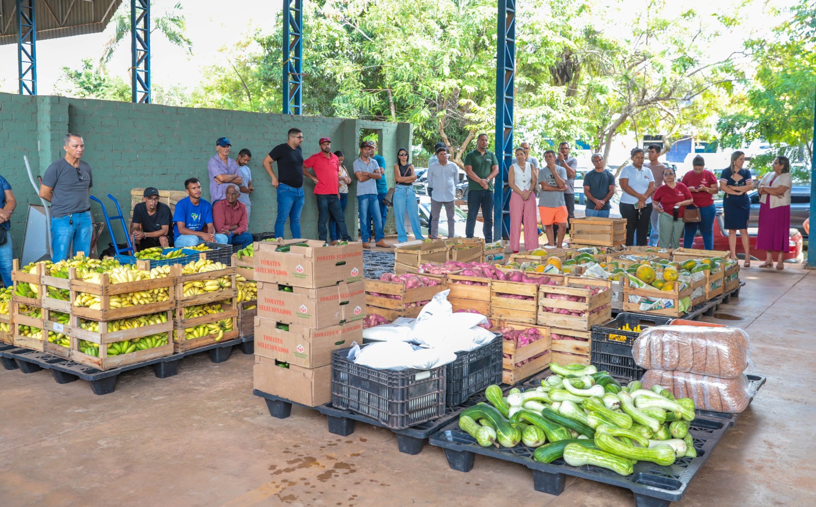 Pessoas reunidas em galpão com frutas, verduras e outros alimentos organizados em caixas e sobre paletes.