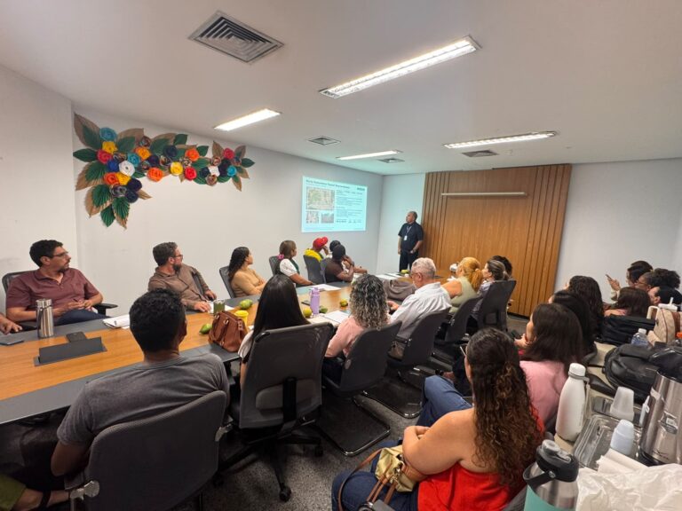 Projeto prevê recuperar quatro hortas e implantar outras quatro em Palmas