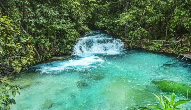 Turismo no Tocantins cresce 45,6% em cinco anos e Sebrae fortalece pequenos negócios no Estado | ASN Tocantins